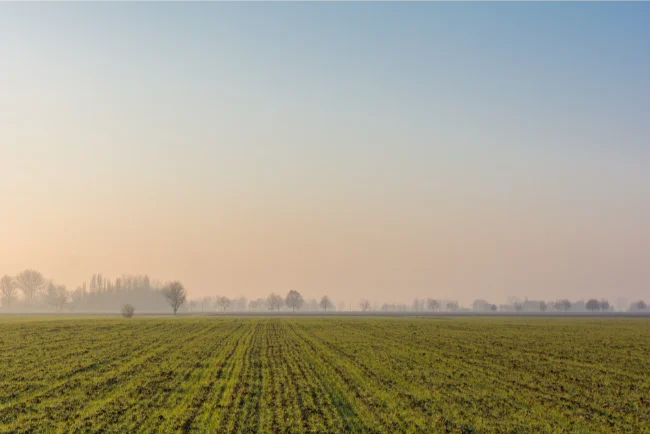 farm land
